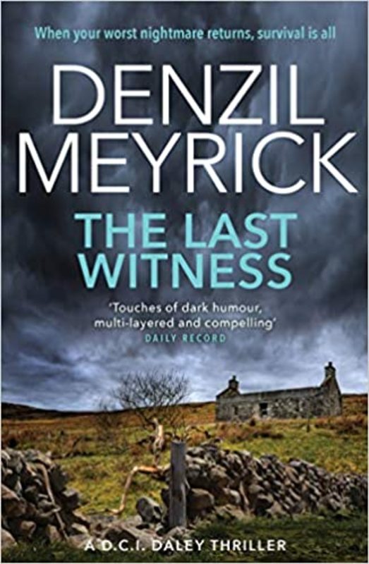 Book cover for "The Last Witness" by Denzil Meyrick