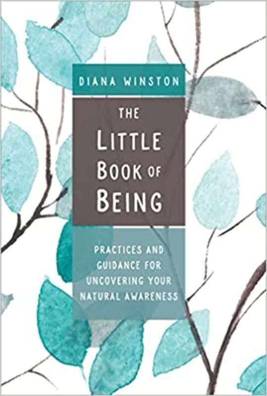 Book cover for "The Little Book of Being" by Diana Winston