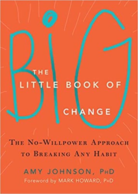 Book cover for "The Little Book of Big Change" by Amy Johnson Ph.D.
