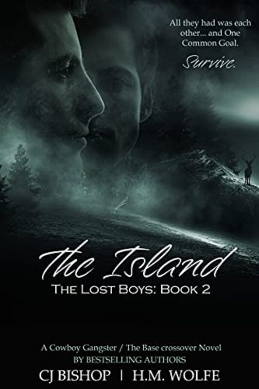 Book cover for "The Lost Boys" by HM Wolfe