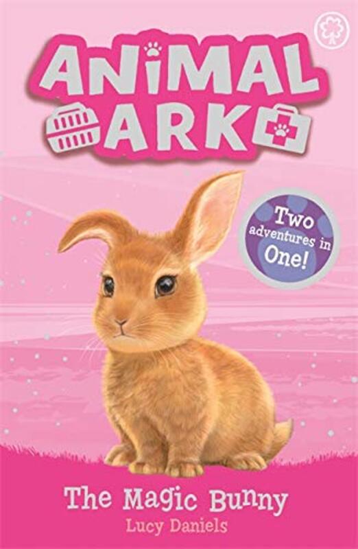 Book cover for "The Magic Bunny" by Lucy Daniels