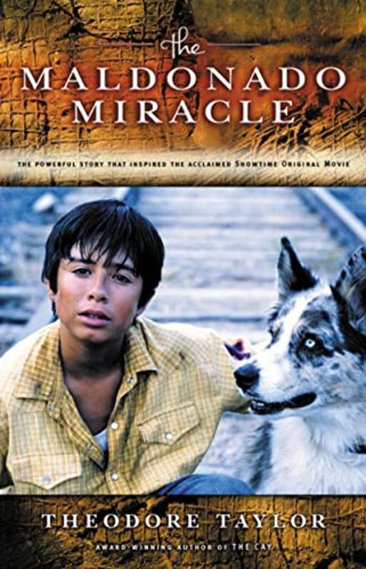 Book cover for "The Maldonado Miracle" by Theodore Taylor