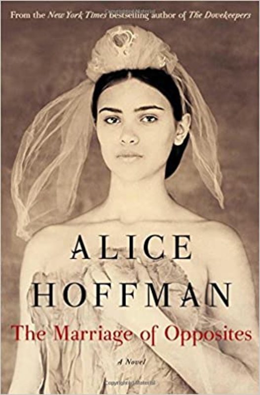 Book cover for "The Marriage of Opposites" by Alice Hoffman