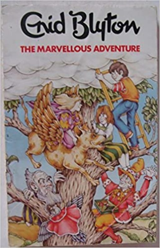 Book cover for "The Marvellous Adventure" by Enid Blyton