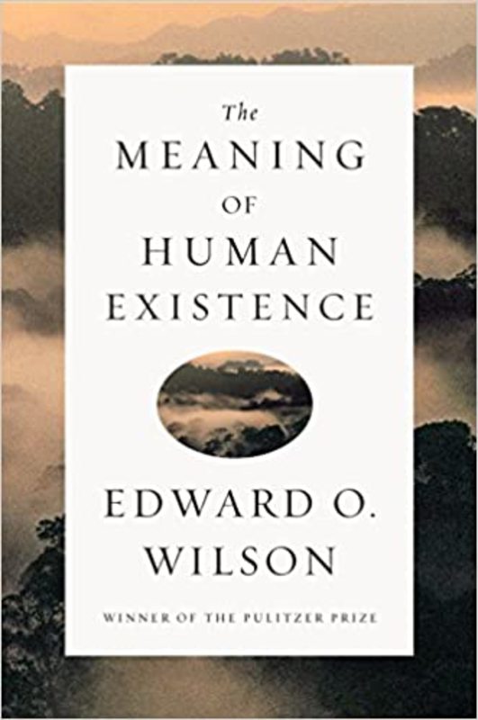 Book cover for "The Meaning of Human Existence" by Edward O. Wilson