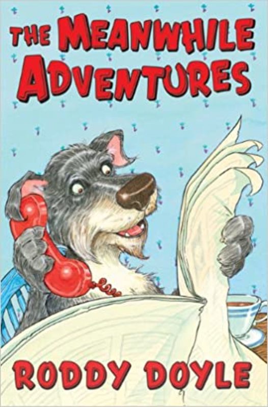 Book cover for "The Meanwhile Adventures" by Roddy Doyle