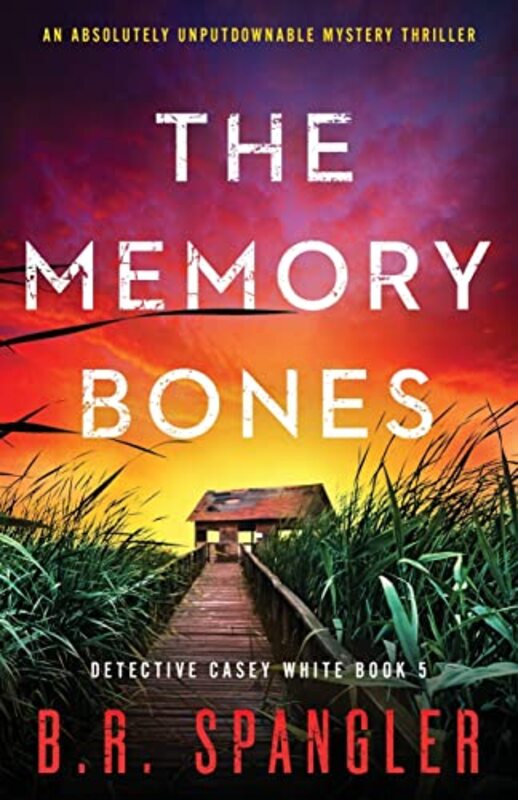 Book cover for "The Memory Bones" by BR Spangler