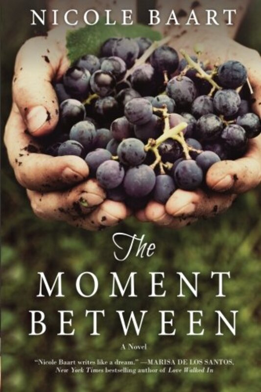 Book cover for "The Moment Between" by Nicole Baart