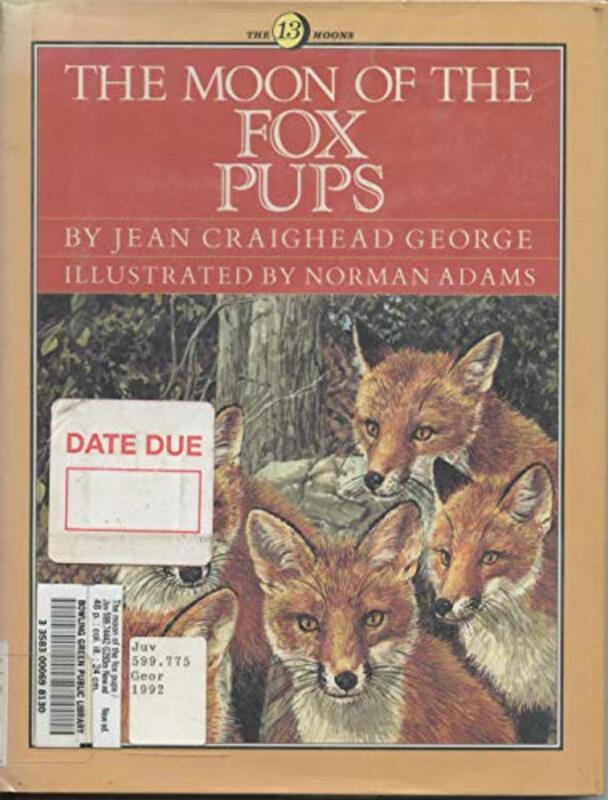 Book cover for "The Moon of the Fox Pups" by Jean Craighead George