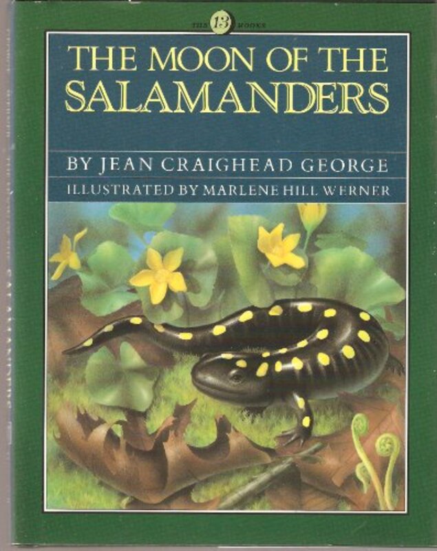 Book cover for "The Moon of the Salamanders" by Jean Craighead George