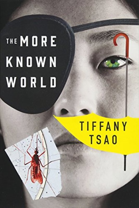 Book cover for "The More Known World" by Tiffany Tsao