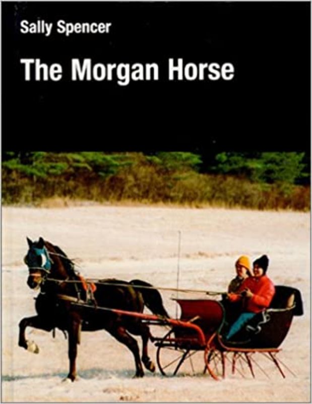 Book cover for "The Morgan Horse" by Sally Spencer