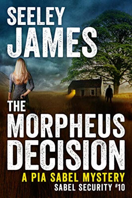 Book cover for "The Morpheus Decision" by Seeley James