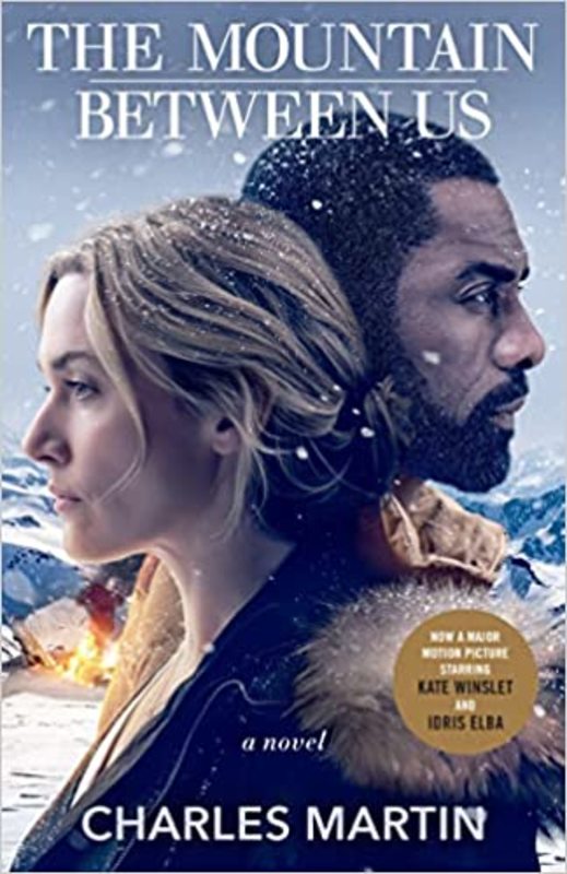 Book cover for "The Mountain Between Us" by Charles Martin