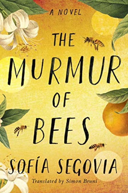 Sofia Segovia book cover