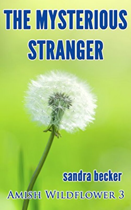 Book cover for "The Mysterious Stranger" by Sandra Becker