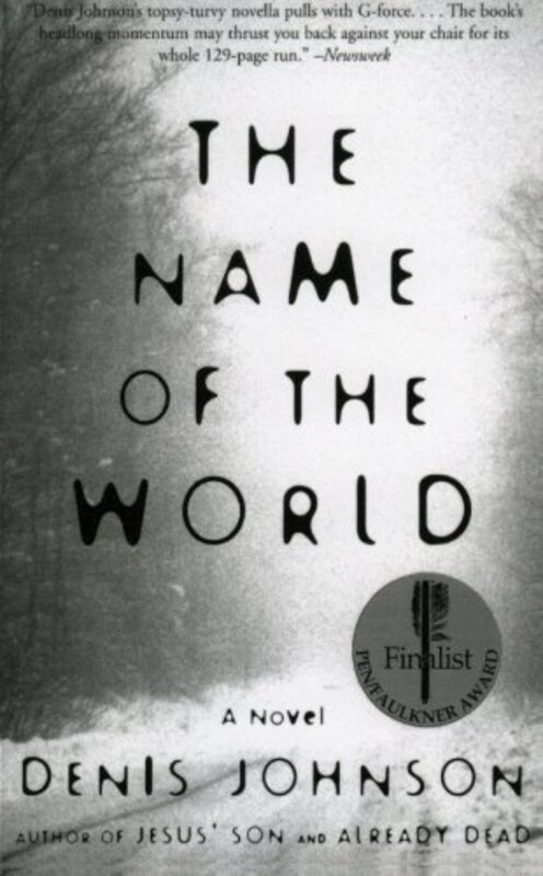 Book cover for "The Name of the World" by Denis Johnson