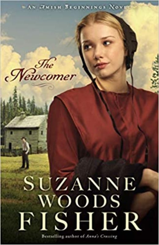 Amish Beginnings book cover