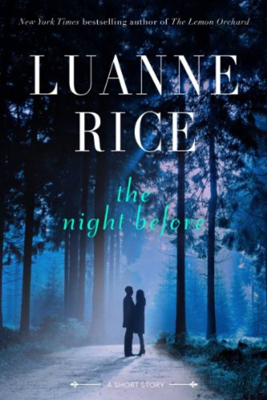 Book cover for "The Night Before" by Luanne Rice