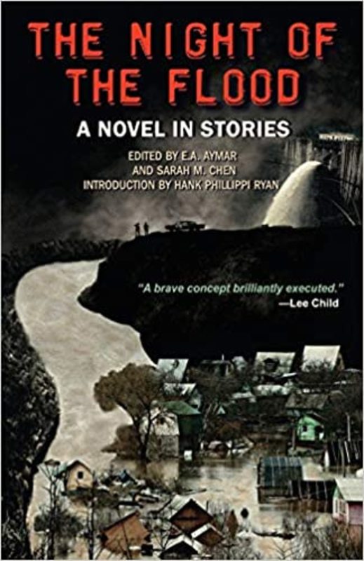 Book cover for "The Night of the Flood" by Mark Edwards