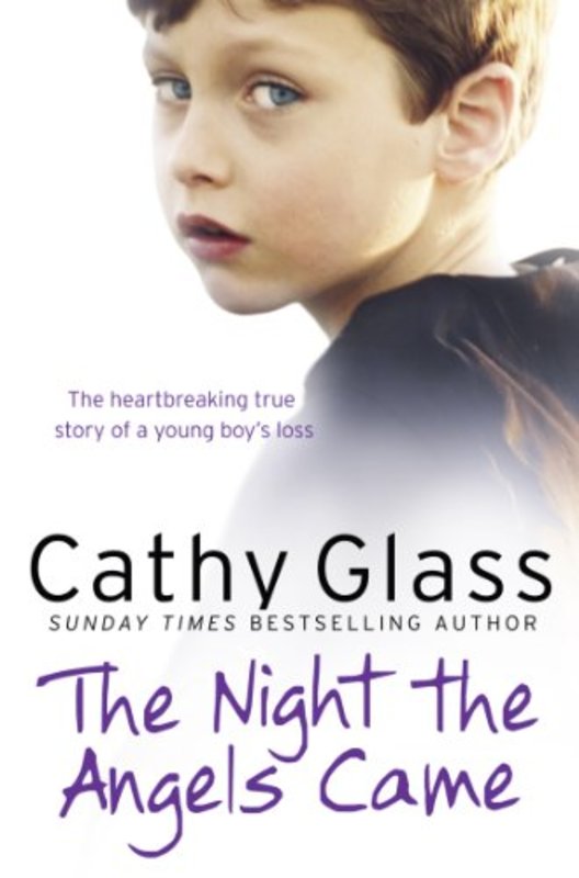 Book cover for "The Night the Angels Came" by Cathy Glass