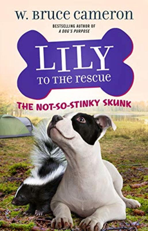 Book cover for "The Not-So-Stinky Skunk" by W Bruce Cameron