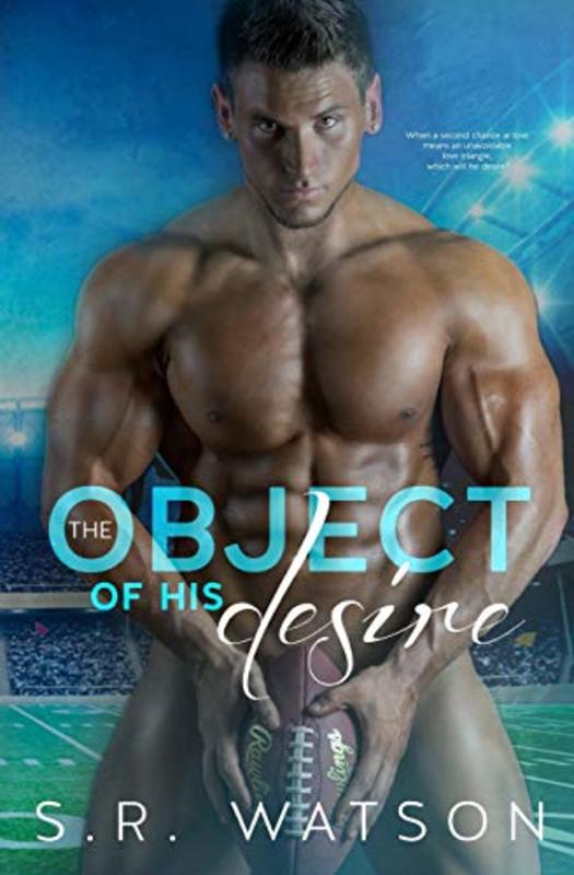 Book cover for "The Object of His Desire" by SR Watson