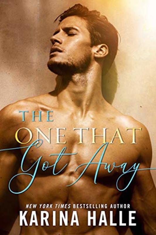 Book cover for "The One That Got Away" by Karina Halle