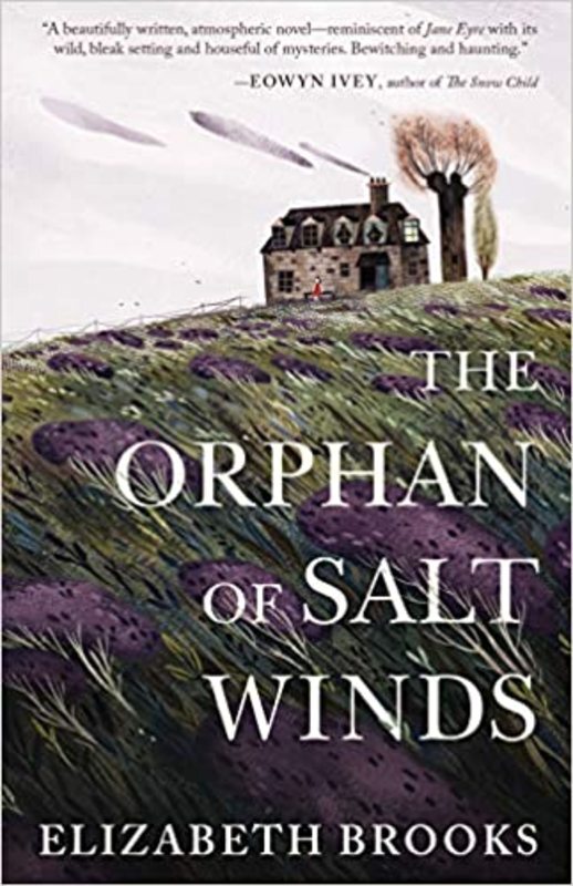 Book cover for "The Orphan of Salt Winds" by Elizabeth Brooks