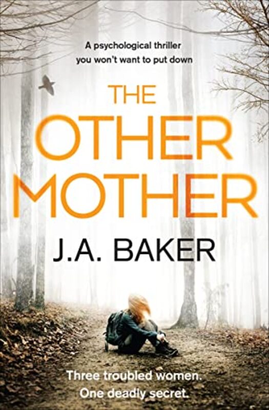 Book cover for "The Other Mother" by JA Baker