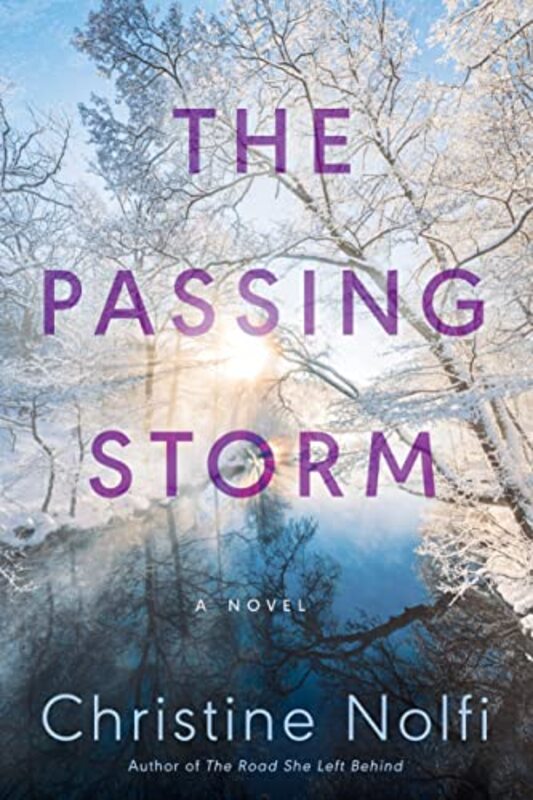 Book cover for "The Passing Storm" by Christine Nolfi