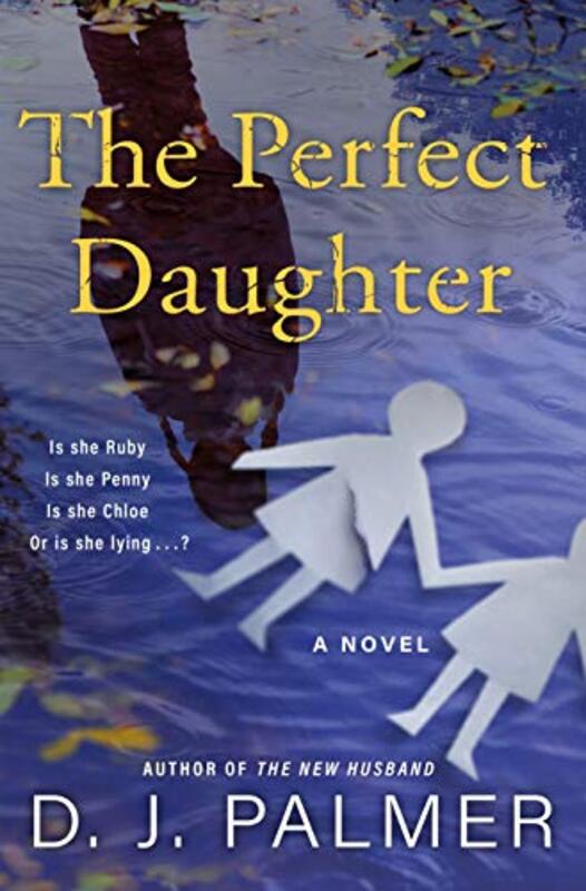 Daniel DJ Palmer book cover