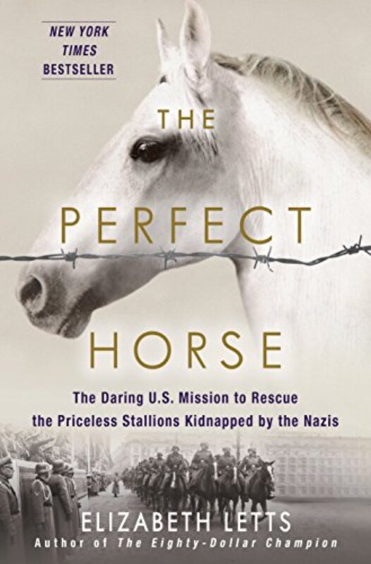 Book cover for "The Perfect Horse" by Elizabeth Letts