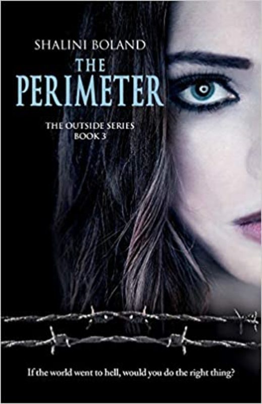 Book cover for "The Perimeter" by Shalini Boland
