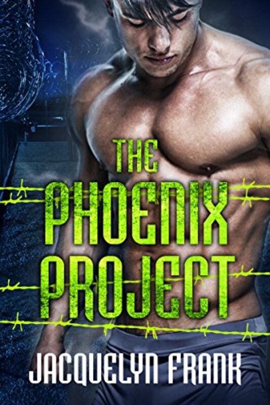 Book cover for "The Phoenix Project" by Jacquelyn Frank