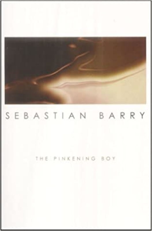Book cover for "The Pinkening Boy" by Sebastian Barry