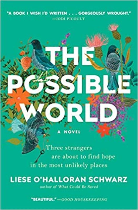 Book cover for "The Possible World" by Liese O'Halloran Schwarz