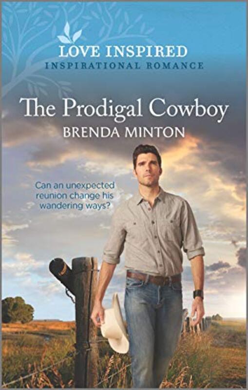 Brenda Minton book cover
