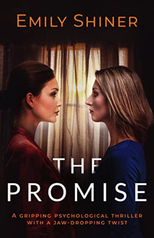 Book cover for "The Promise" by Emily Shiner