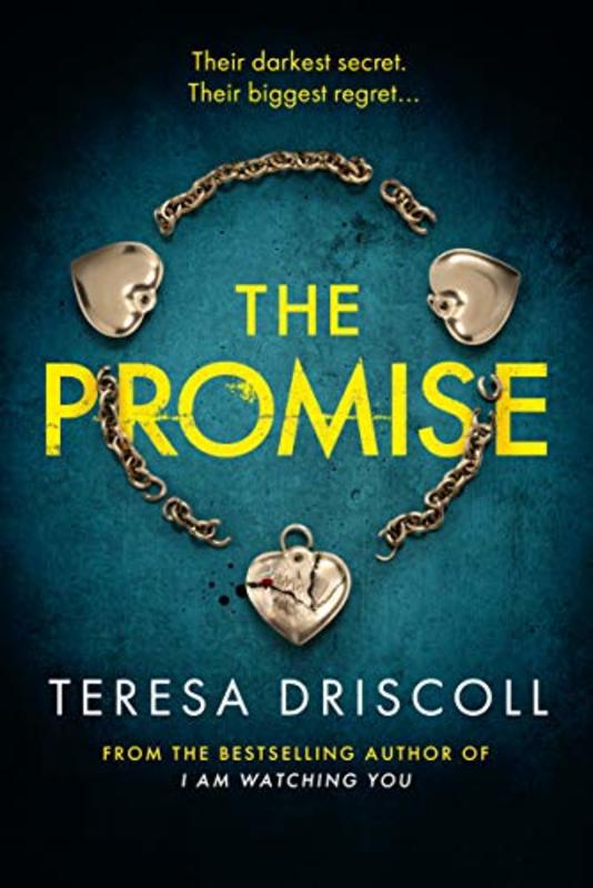 Teresa Driscoll book cover
