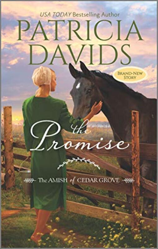 Book cover for "The Promise" by Patricia Davids