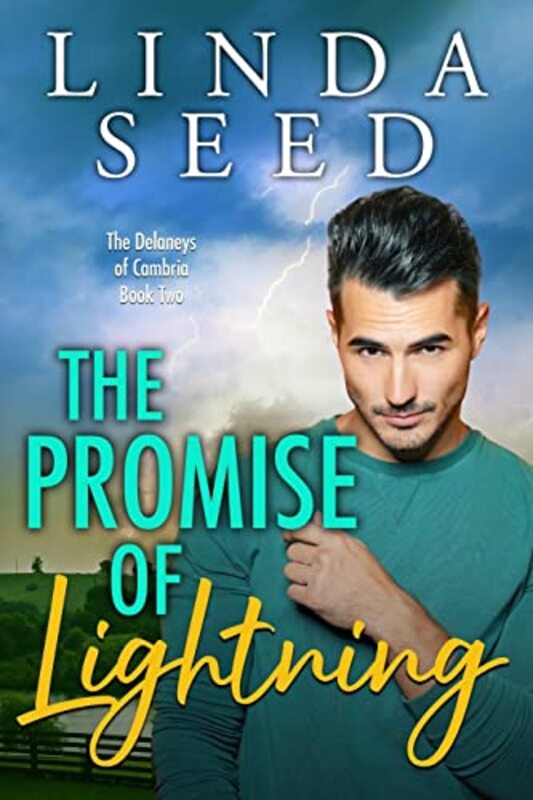Book cover for "The Promise of Lightning" by Linda Seed