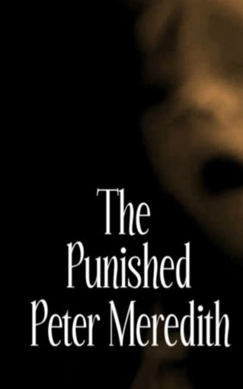 Book cover for "The Punished" by Peter Meredith