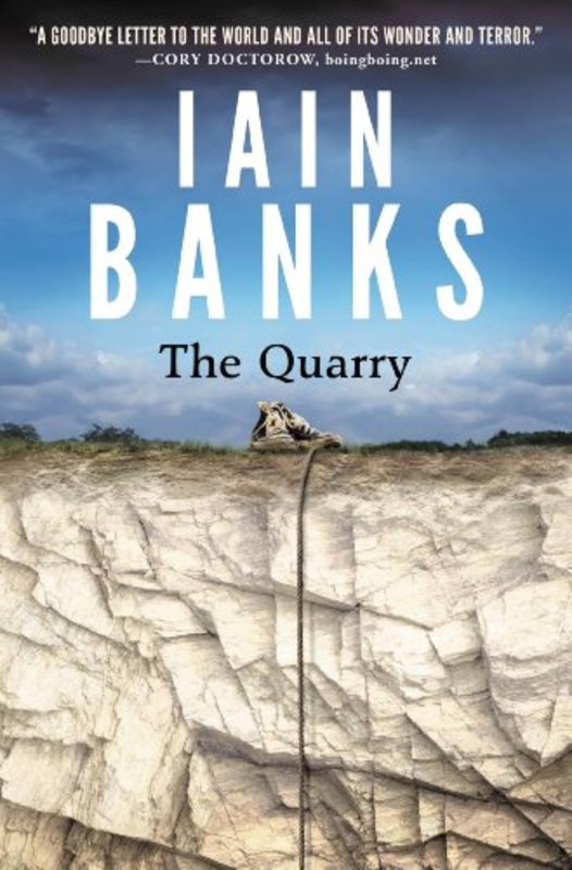 Iain M Banks book cover