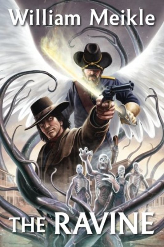Book cover for "The Ravine" by William Meikle