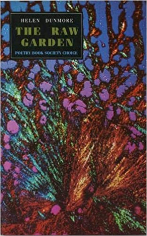 Book cover for "The Raw Garden" by Helen Dunmore