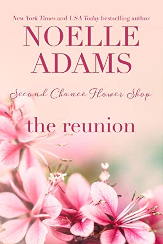 Book cover for "The Reunion" by Noelle Adams