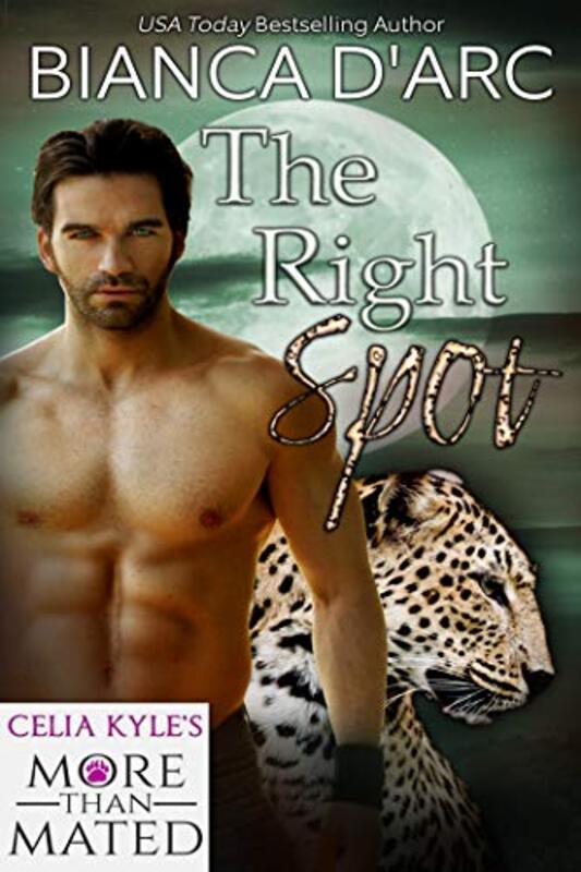 Book cover for "The Right Spot" by Bianca D'Arc