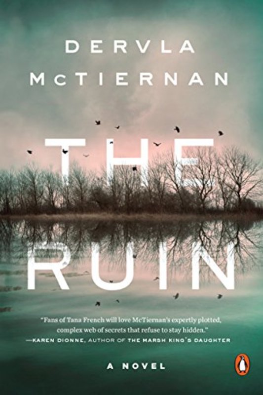 Book cover for "The Ruin" by Dervla McTiernan