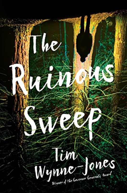 Tim Wynne Jones book cover